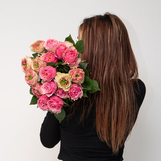 Pink Monster Garden Rose - 75 stems Pink roses - fresh-cut roses by Bloomingmore - ideal for weddings and floral events