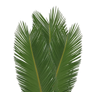 Queen Sago Palm 4 ft. - 150 Stems Green flowers - fresh-cut flowers by Bloomingmore - ideal for weddings and floral events