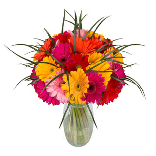 Rainbow Gerbera Bouquet Rainbow flowers - fresh-cut flowers by Bloomingmore - perfect for gifting or decoration