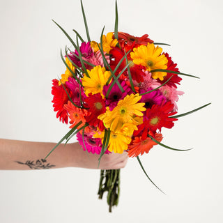 Rainbow Gerbera Bouquet Rainbow flowers - fresh-cut flowers by Bloomingmore - perfect for gifting or decoration