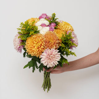 Rossano Cremon Green flowers - fresh-cut flowers by Bloomingmore - ideal for weddings and floral events