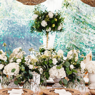 Silver Dollar Eucalyptus Green flowers - fresh-cut flowers by Bloomingmore - ideal for weddings and floral events