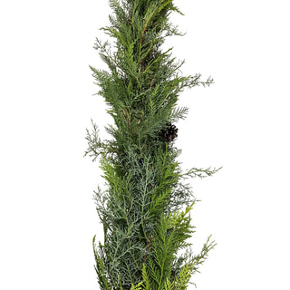 Snow Angel s Garland