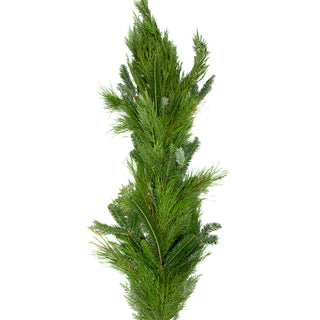 Three's Company Garland