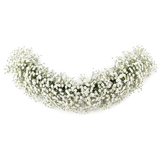 A baby's breath floral garland made of dense clusters of tiny white flowers with green stems, arranged in a curved shape on a plain white background.