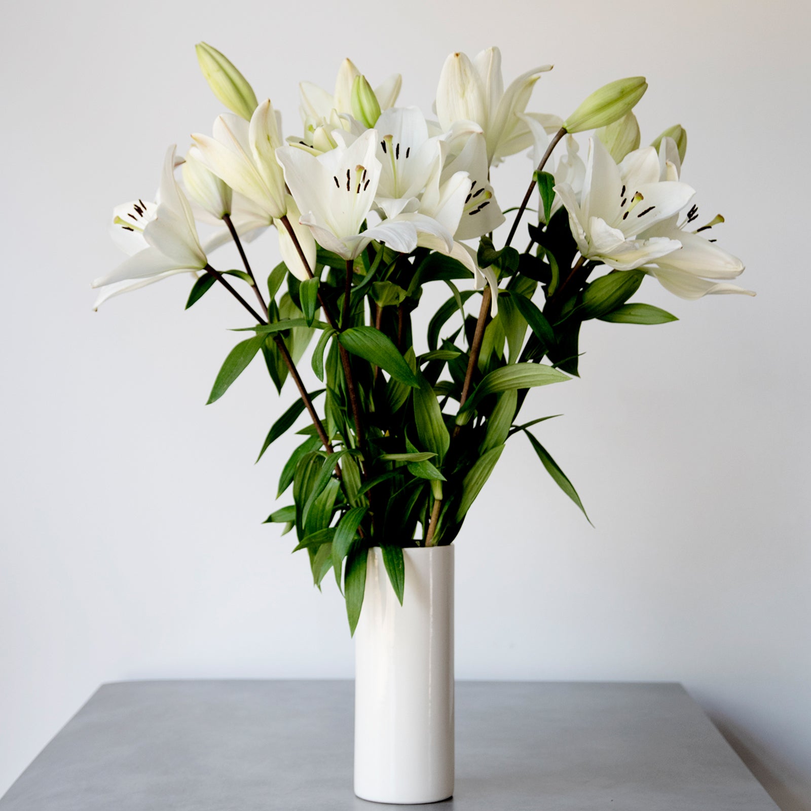 lily white flower White LA Hybrid Lilies
