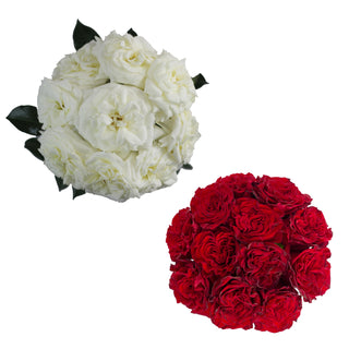 White & Red Garden Rose - 36 Stems Red roses - fresh-cut roses by Bloomingmore - ideal for weddings and floral events