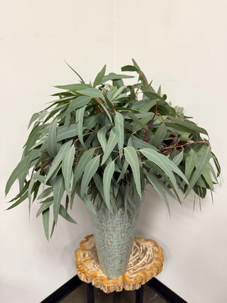 Willow Eucalyptus Green flowers - fresh-cut flowers by Bloomingmore - ideal for weddings and floral events