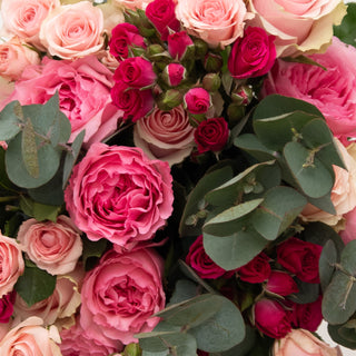 Wholesale Red & Pink Rose Petals  3000-5000 Petals – Bloomingmore
