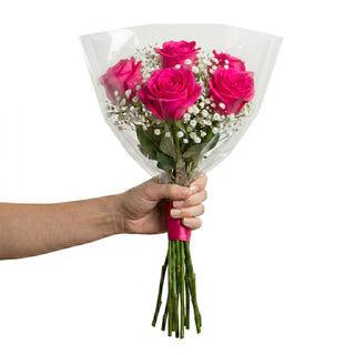Hand holding a bouquet of pink roses with clear plastic wrap on a white background