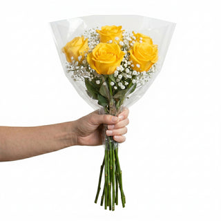 Hand holding a bouquet of yellow roses with clear plastic wrap on a white background