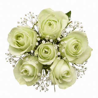 Bouquet of light green roses with gypso flowers on a white background