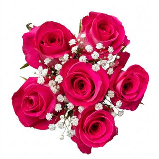 Bouquet of bright pink roses with gypsophilia on a white background