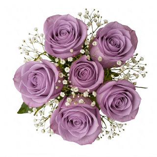 Bouquet of purple roses with gypso flowers on a white background