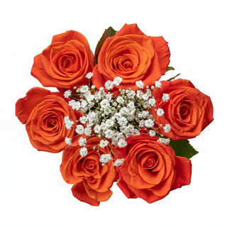 Bouquet of orange roses with gypso white flowers on a white background