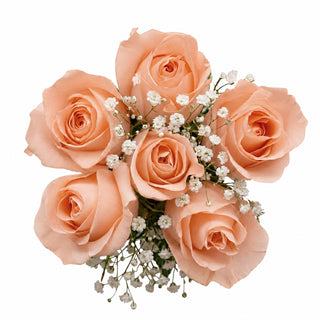 Bouquet of peach-colored roses with small white flowers on a white background