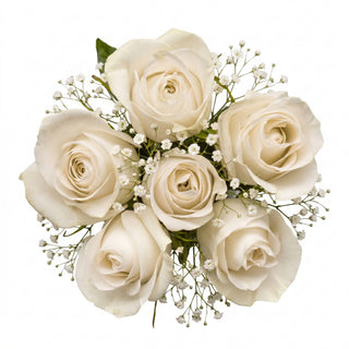 Bouquet of white roses with white gypsophilia flowers on a white background