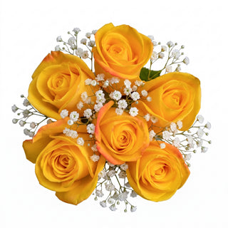 Bouquet of yellow roses with small white flowers on a white background