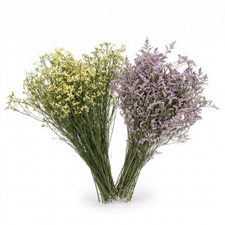 Two flower bouquets, one limonium misty white and limonium misty blue, with green stems, photographed on a clean white background.