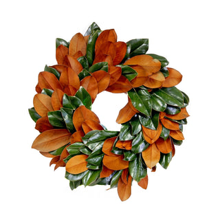A circular magnolia leaf wreath featuring glossy dark green leaves and prominent warm orange-brown blooms, photographed against a solid white background.