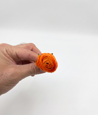 Orange Mini Ranunculus