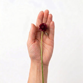 Burgundy Mini Ranunculus
