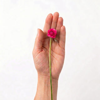 Hot Pink Mini Ranunculus