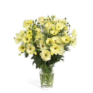 A bouquet of pale yellow ranunculus flowers arranged in a clear glass vase with green stems, photographed on a clean white background.