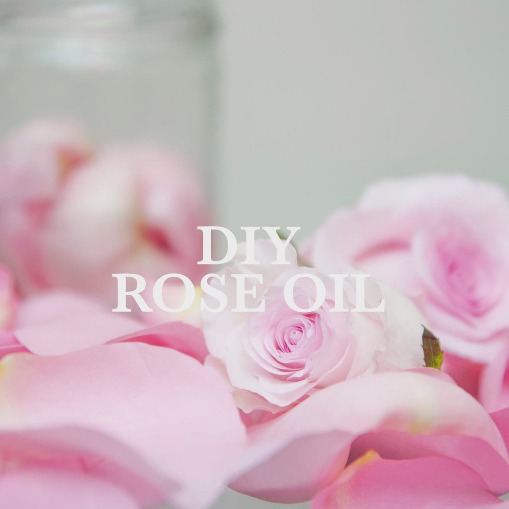 DIY Rose Oil