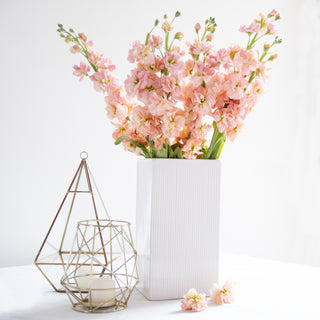 Apricot Stock Peach flowers - fresh-cut flowers by Bloomingmore - ideal for weddings and floral events