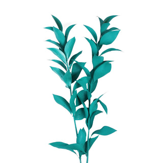 Aquamarine Painted Ruscus Green flowers - fresh-cut flowers by Bloomingmore - ideal for weddings and floral events