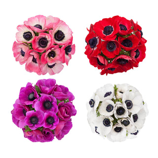 Assorted Anemones Assorted flowers - fresh-cut flowers by Bloomingmore - ideal for weddings and floral events