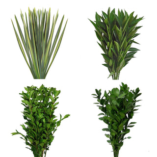 Assorted Cocculus, Ruscus, Viburnium, Varieaged Flax Combo Box Green flowers - fresh-cut flowers by Bloomingmore - ideal for weddings and floral events