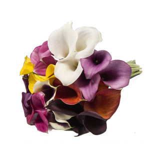 Assorted Color Mini Calla Lilies Assorted flowers - fresh-cut flowers by Bloomingmore - ideal for weddings and floral events