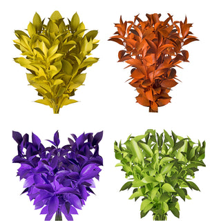 Assorted Painted Ruscus Green flowers - fresh-cut flowers by Bloomingmore - ideal for weddings and floral events