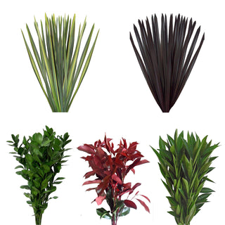 Assorted Photinia, Cocculus, Ruscus & Flax Combo Box Green flowers - fresh-cut flowers by Bloomingmore - ideal for weddings and floral events