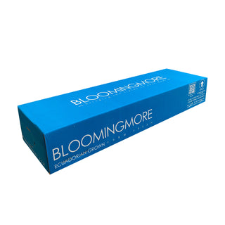 Blooming Boxes, Grower Choice Roses
