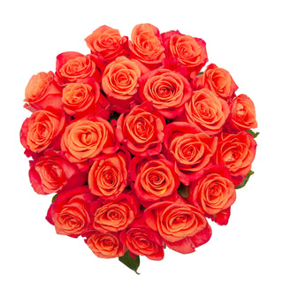 Blooming Boxes, Orange Roses
