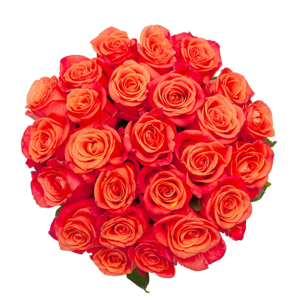 Spray Roses, Dried, Natural Orange, x 10 Stems - Atlas Flowers