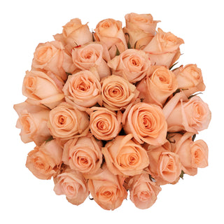 Blooming Boxes, Peach Roses