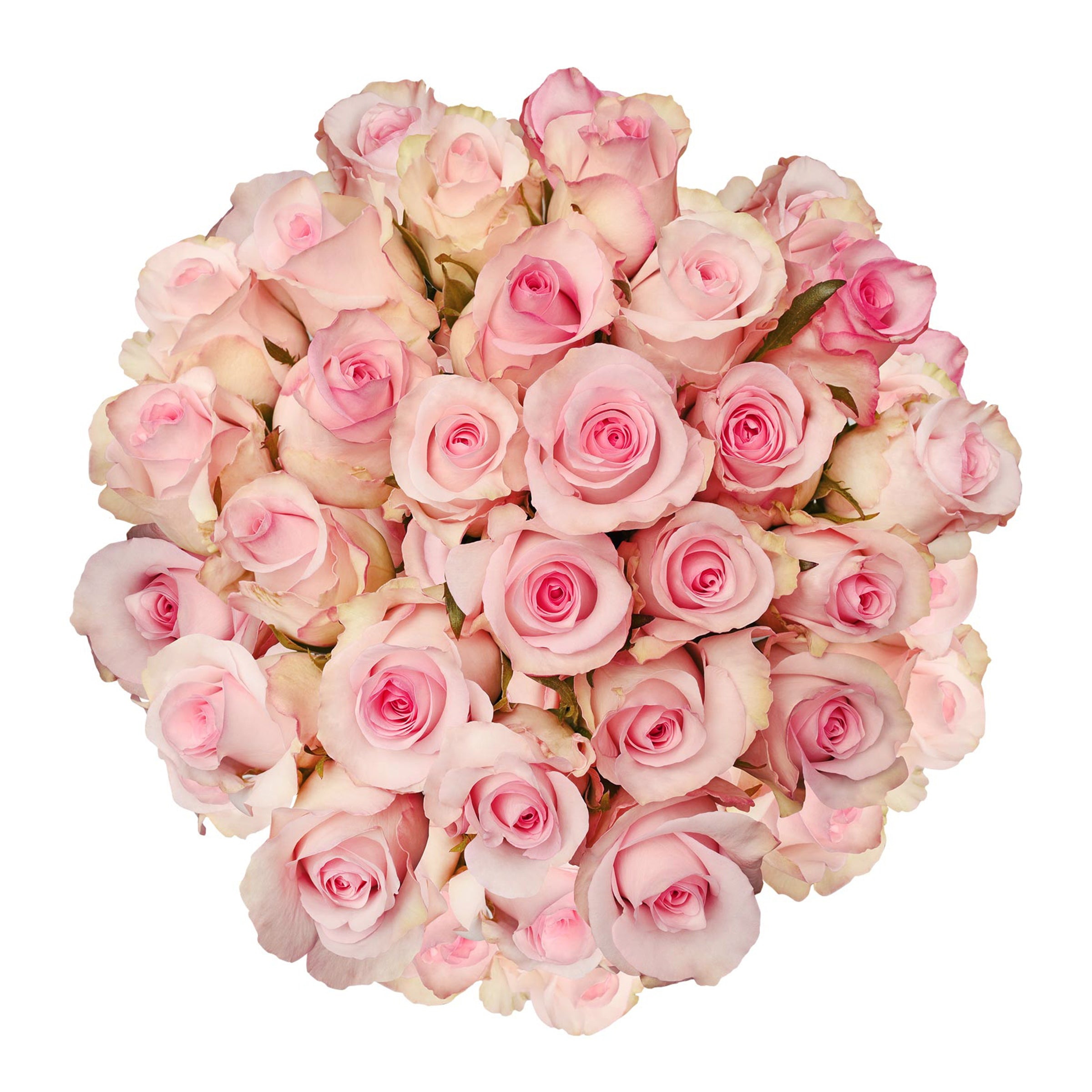 Pink Flowers – Bloomingmore