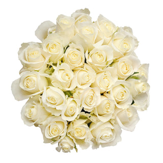 Blooming Boxes, White Roses