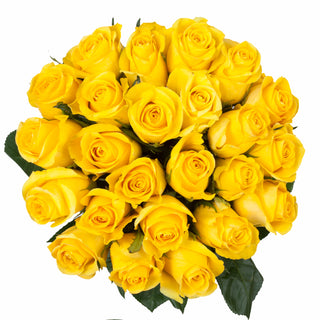 Blooming Boxes, Yellow Roses