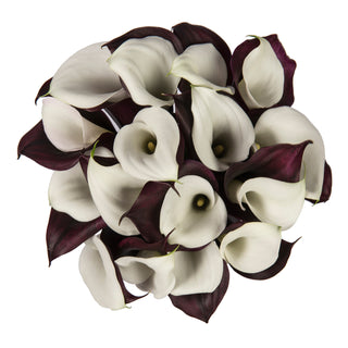 Black & White Double Calla Lilies
