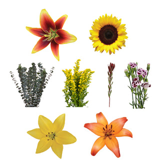 DIY Design Collection - Brightness -  140 Stems