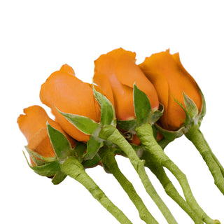Do It Yourself Wired Orange Roses