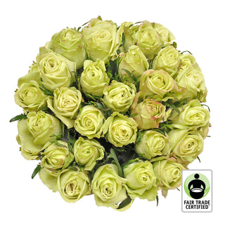 Fair Trade Natural Green Roses - Choose from  25 to 100 Stems