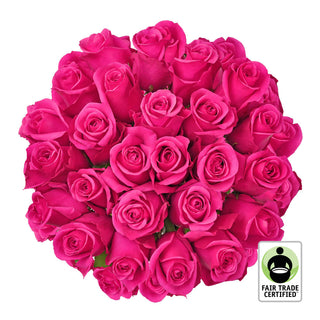 Fair Trade Natural Hot Pink Roses - Choose from  25 to 100 Stems
