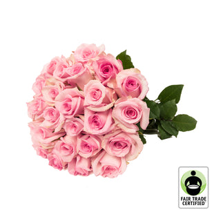 Fair Trade Natural Light Pink Roses - Choose from  25 to 100 Stems