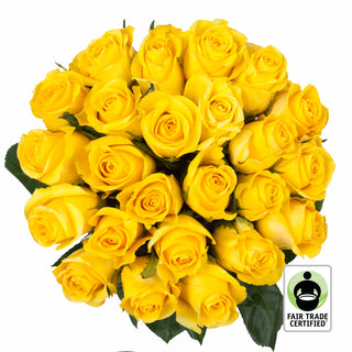 Fair Trade Natural Yellow Roses - Choose from  25 to 100 Stems